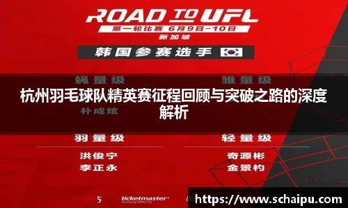 杭州羽毛球队精英赛征程回顾与突破之路的深度解析
