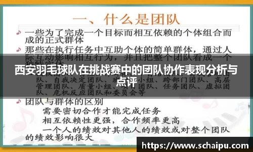 西安羽毛球队在挑战赛中的团队协作表现分析与点评