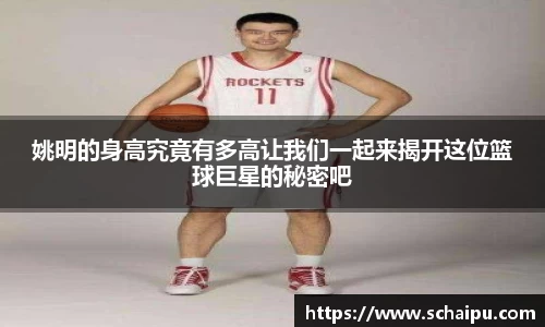 艾弗森ballbet贝博