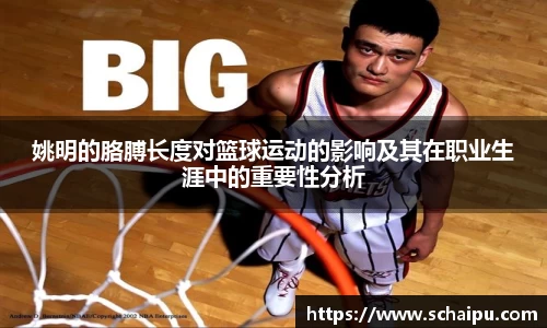 ballbet贝博艾弗森官网