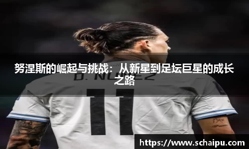 努涅斯的崛起与挑战：从新星到足坛巨星的成长之路